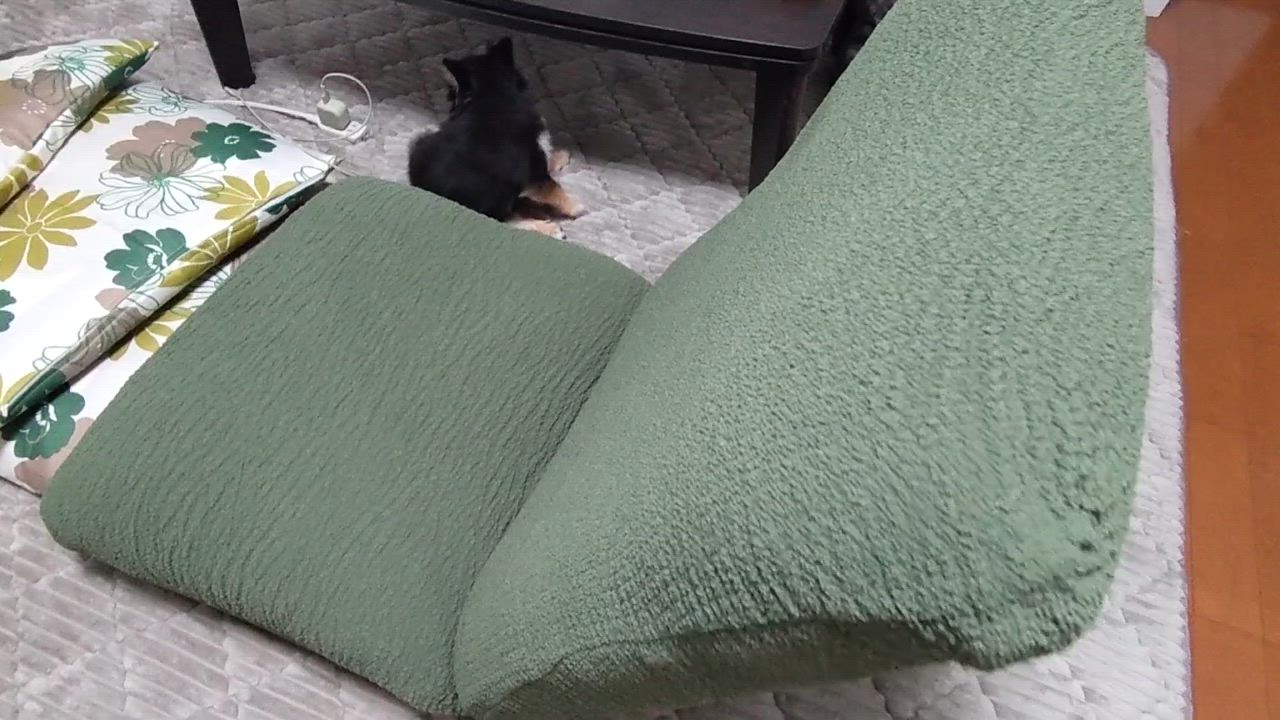 全体のレビュー動画のサムネイル | 0