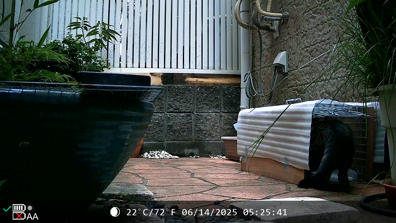 全体のレビュー動画のサムネイル | 1