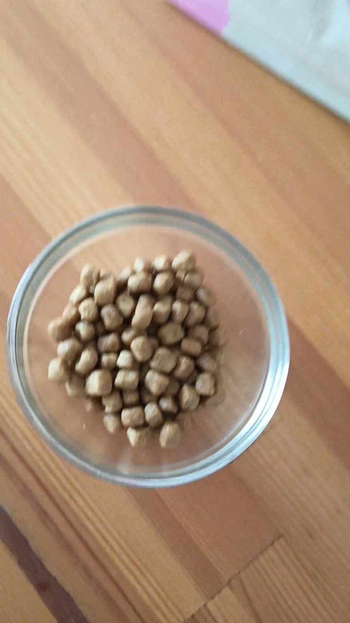 全体のレビュー動画のサムネイル | 15