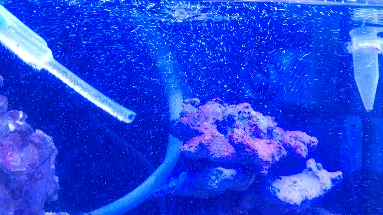 hygger 海水ライト サンゴ水槽用ledライト 海水魚 水槽照明 LED