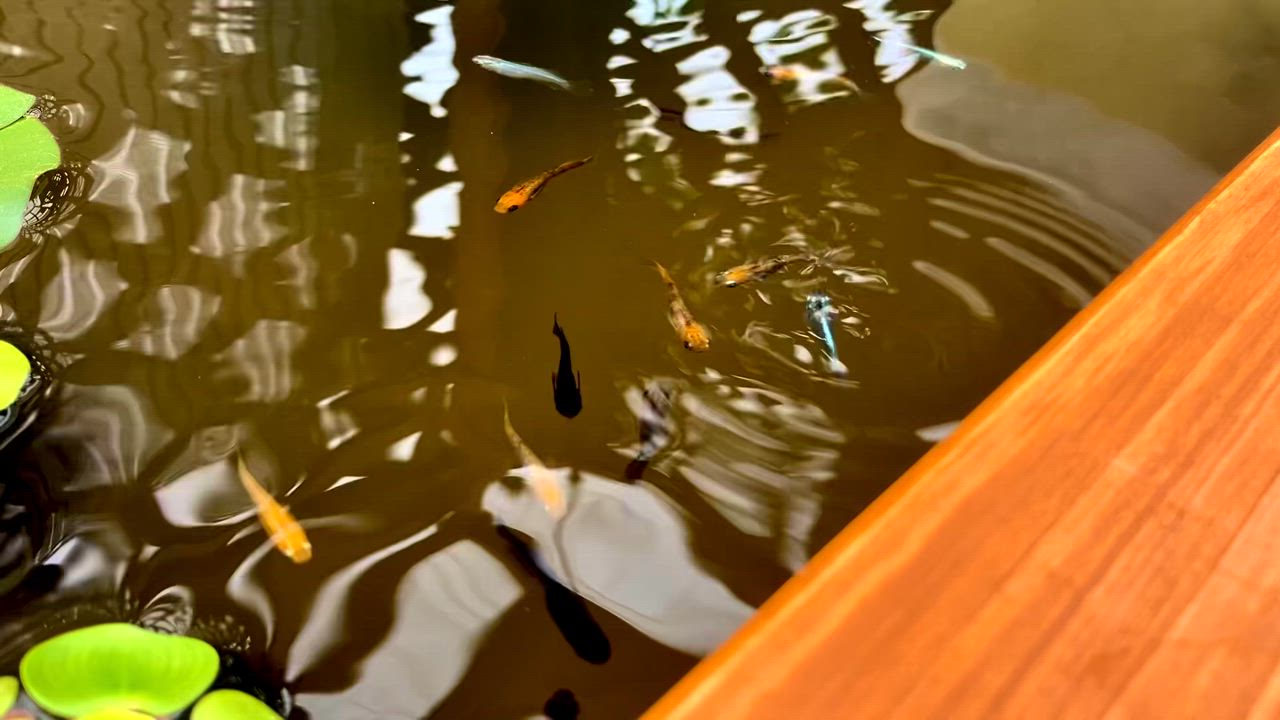 全体のレビュー動画のサムネイル | 3