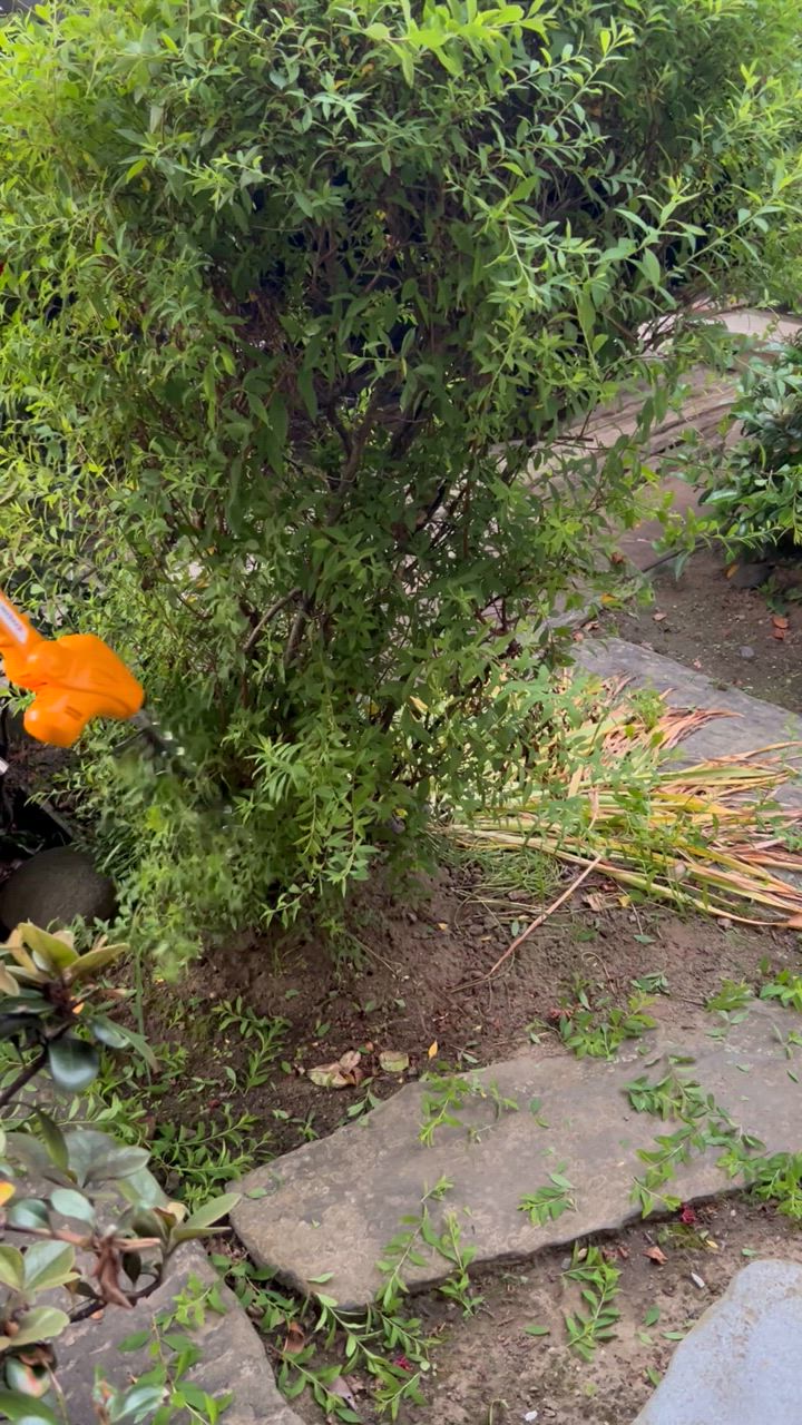 KYOCERA（京セラ） ポールヘッジトリマー PHT-2100 692550A [旧