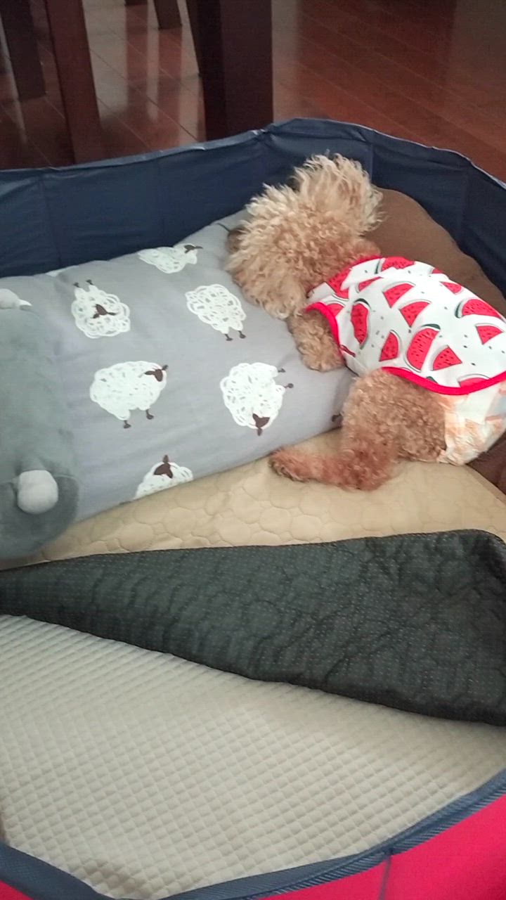 全体のレビュー動画のサムネイル | 0