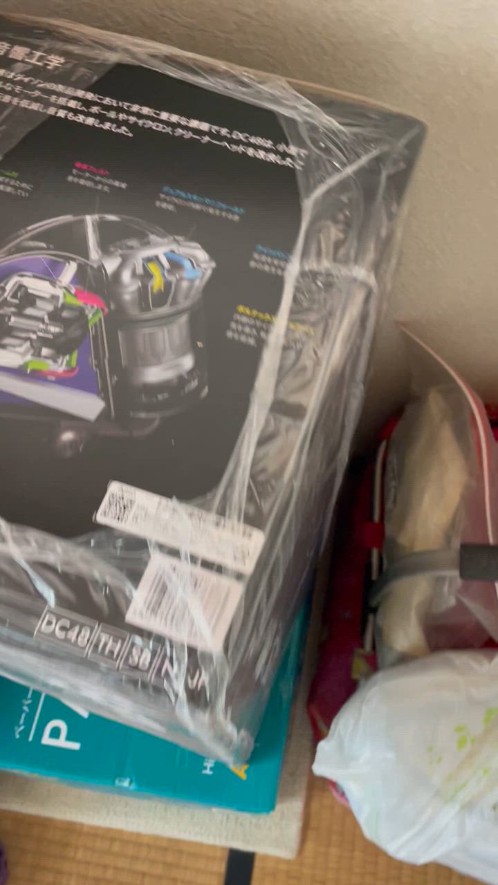 【送料込】未使用新品　ダイソンボール　DC48　キャニスター Dyson ダイソン キャニスター 掃除機 DC48 Turbinehead コード式