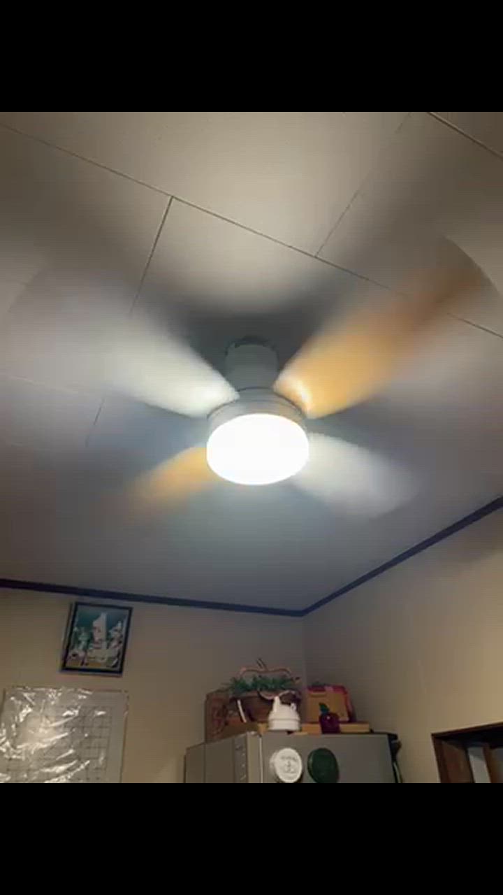 全体のレビュー動画のサムネイル | 0