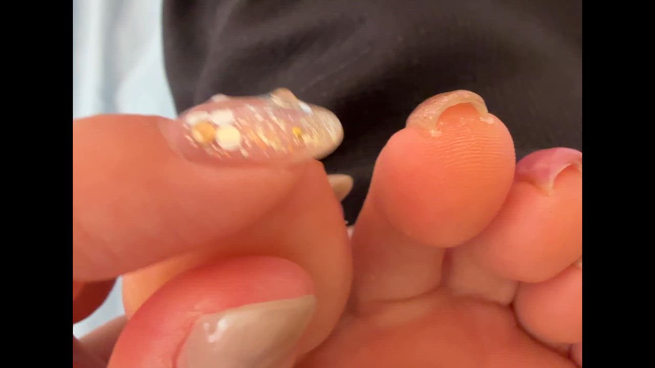 全体のレビュー動画のサムネイル | 2