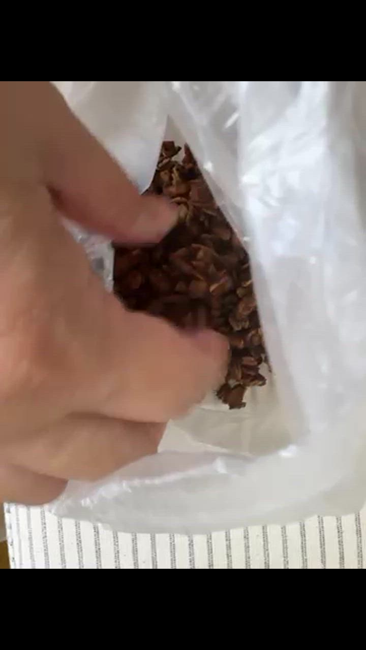 全体のレビュー動画のサムネイル | 2