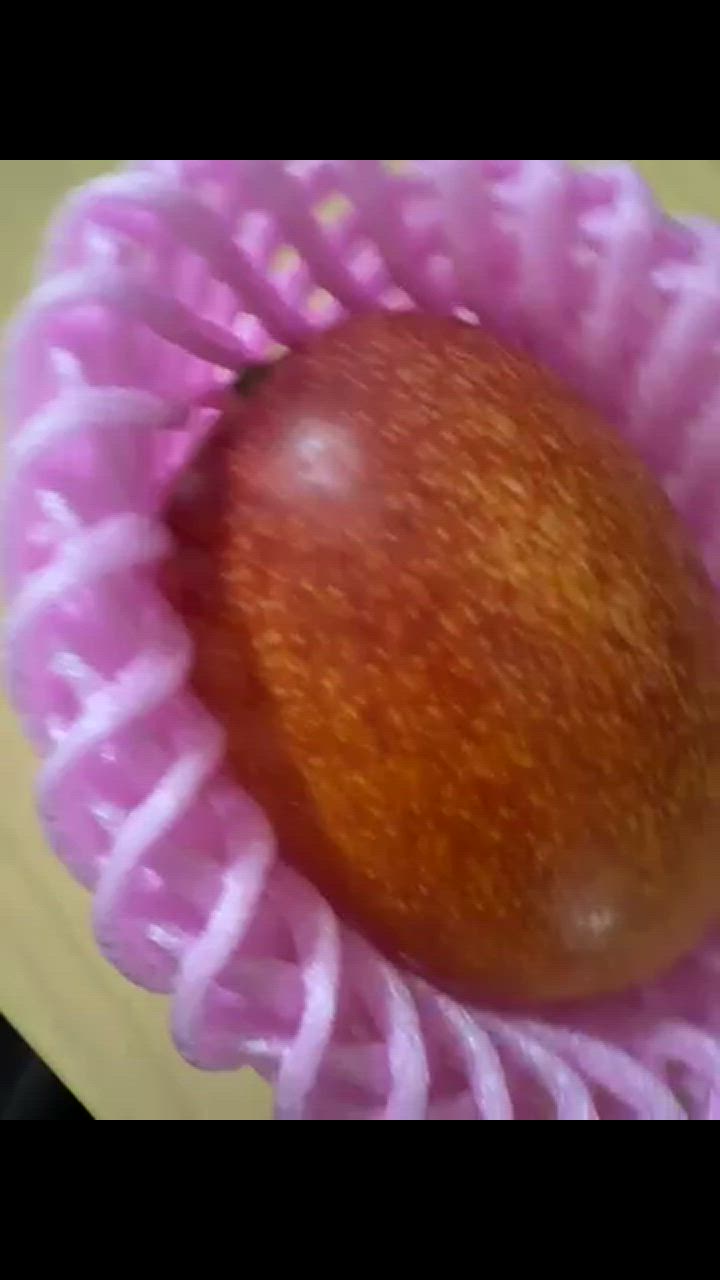 全体のレビュー動画のサムネイル | 0