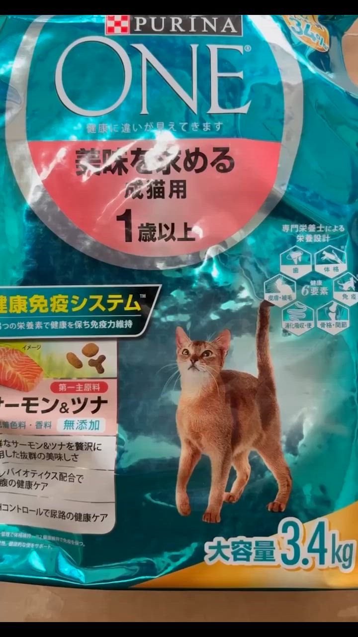 ピュリナワン アウトレット品 キャットフード ピュリナワン 猫