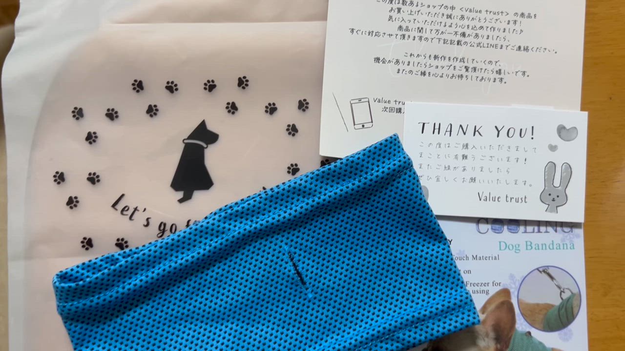 全体のレビュー動画のサムネイル | 0