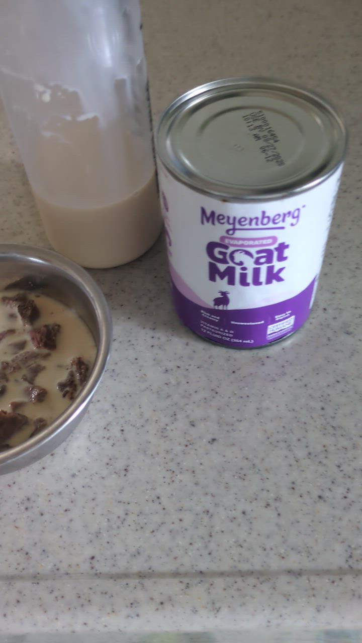 6個セット Meyenberg メインバーグ エバゴートミルク 354ml 無糖