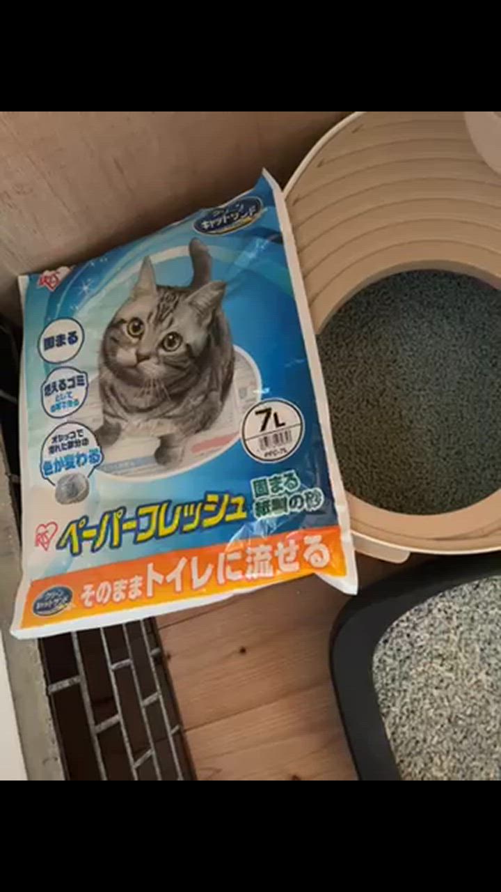 全体のレビュー動画のサムネイル | 0