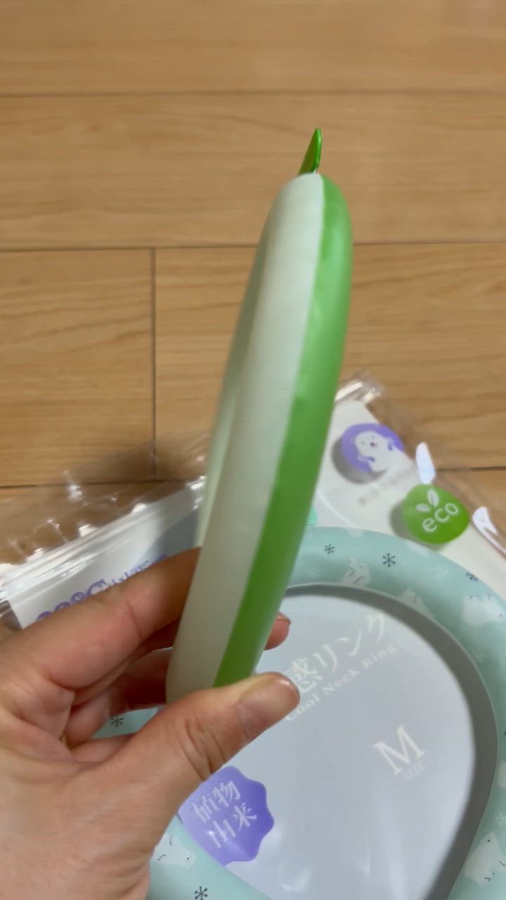 全体のレビュー動画のサムネイル | 2