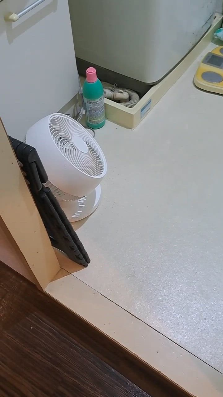 全体のレビュー動画のサムネイル | 1