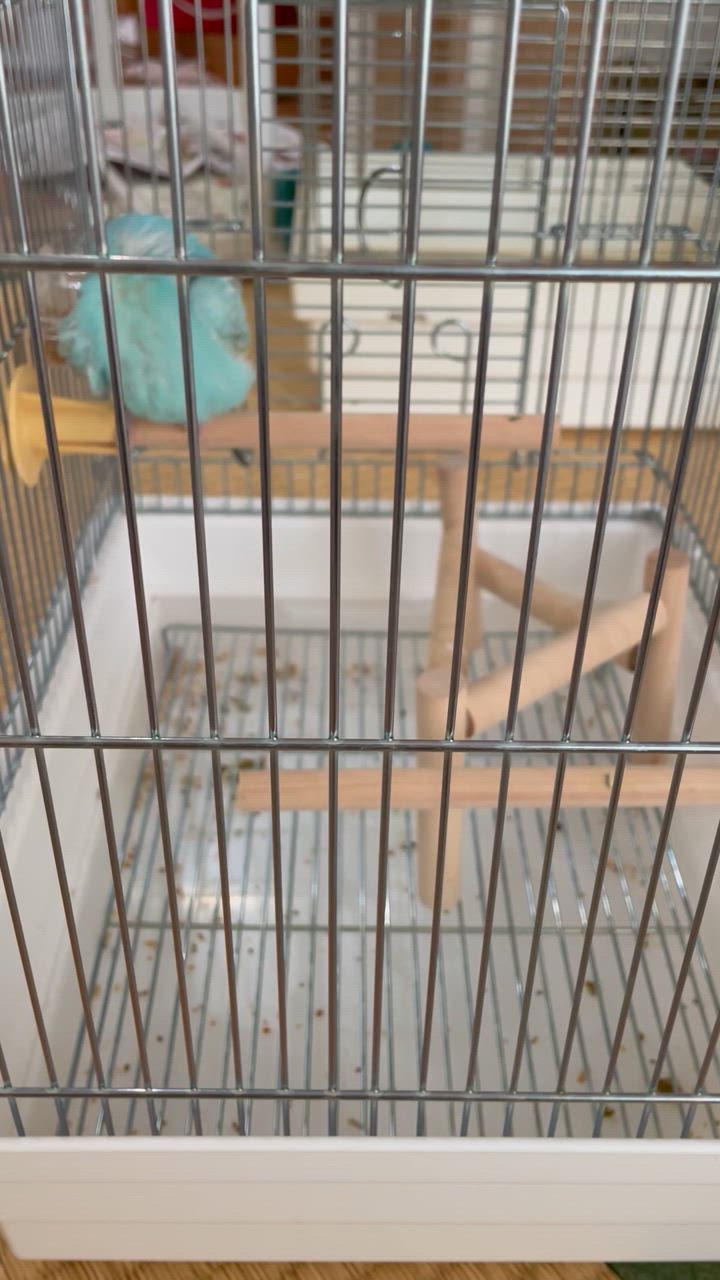 HOEI [即納在庫品] 鳥 ケージ 21手のり 鳥かご 小鳥用 バード