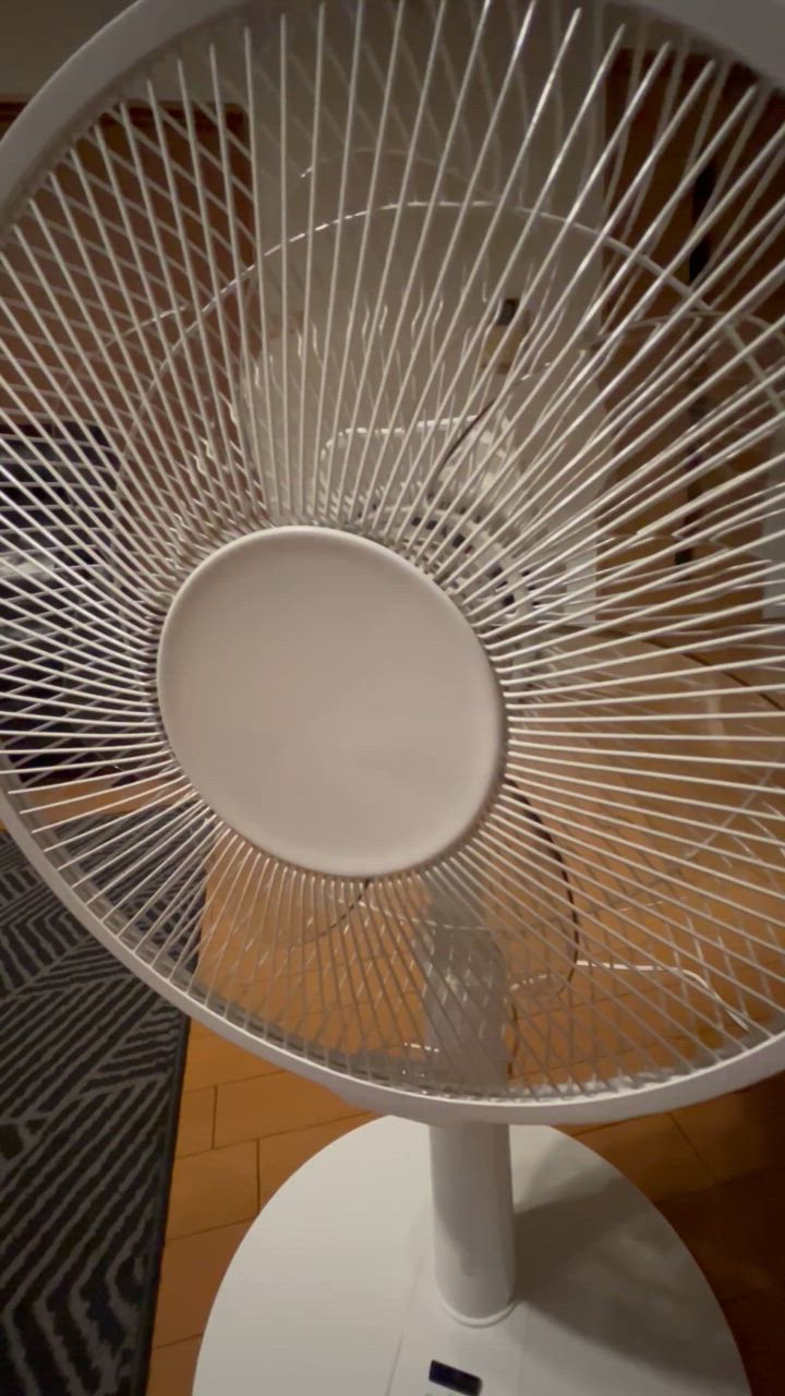 在庫限り】【推奨品】パナソニック F-C324C-W リビング扇風機