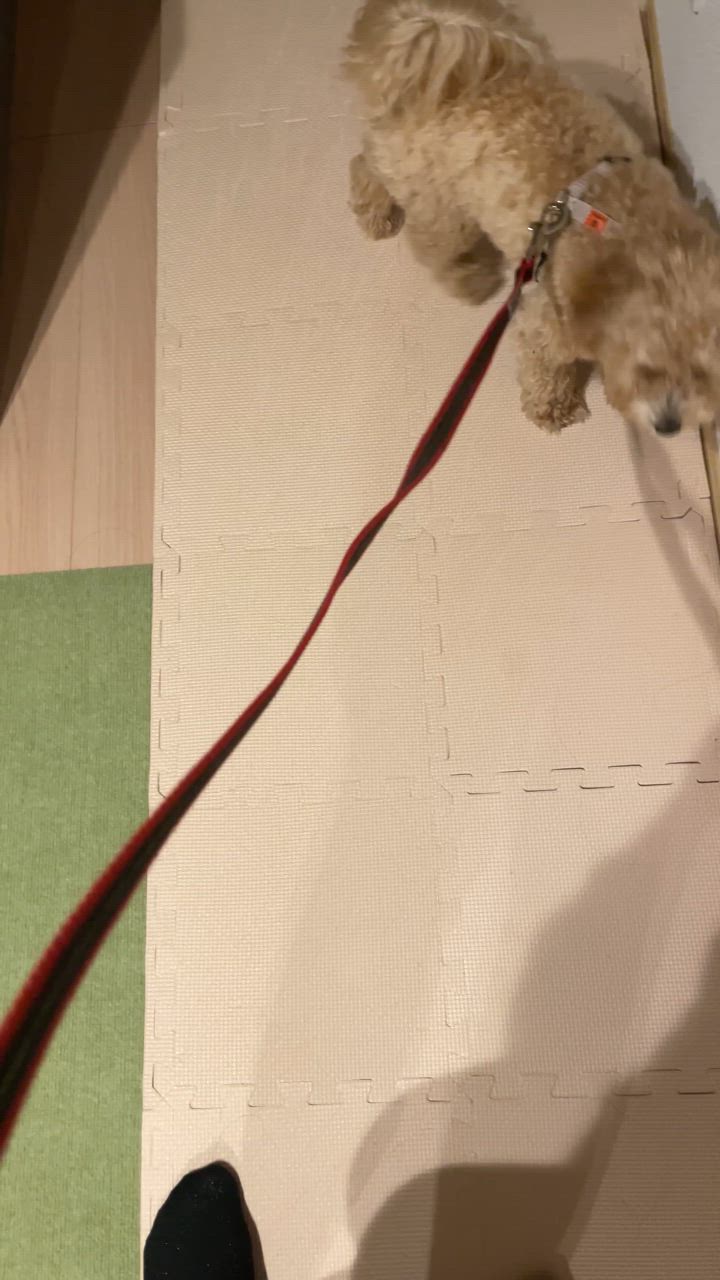 1件目のレビュー動画のサムネイル | 0