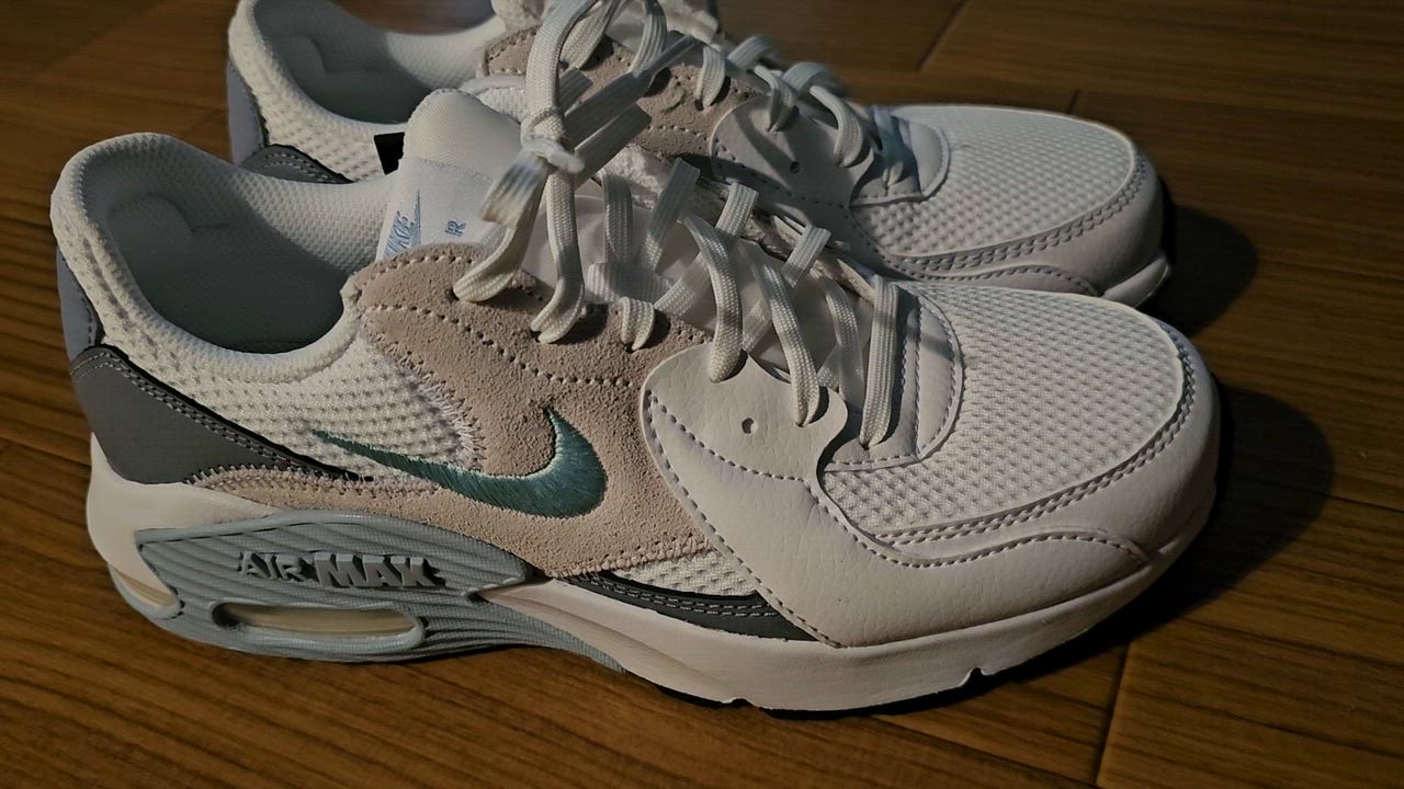 NIKE ナイキ ウィメンズ エア マックス エクシー CD5432-138