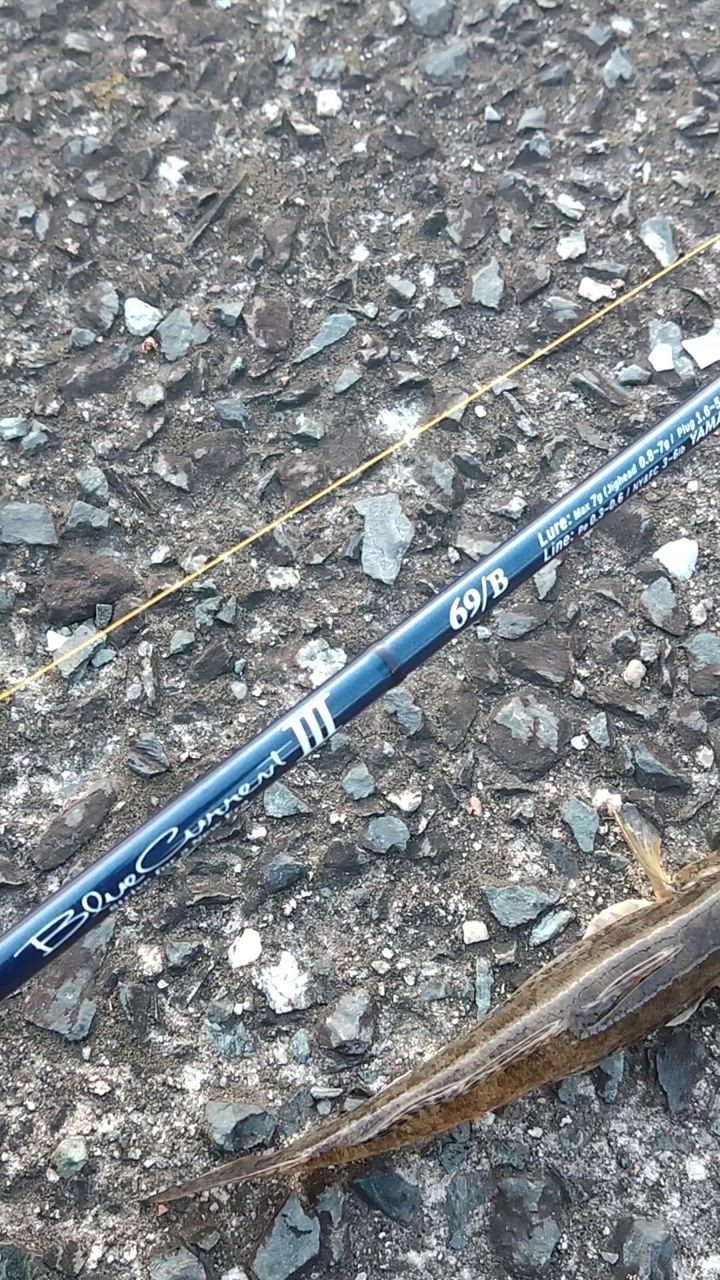 YAMAGA Blanks ヤマガブランクス ブルーカレント III (Blue