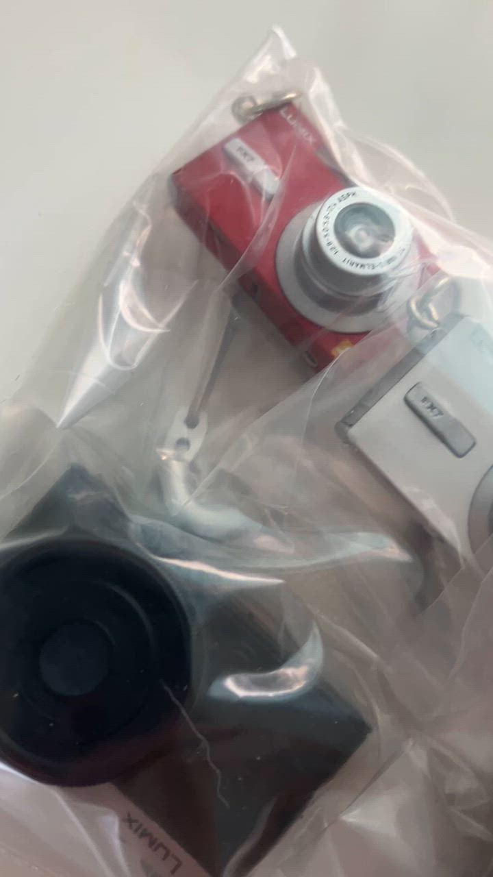全4種 LUMIX ミニチュア コレクション ガチャ 12個入 ケンエレファント LUMIX ミニチュアコレクション × 全4種セット