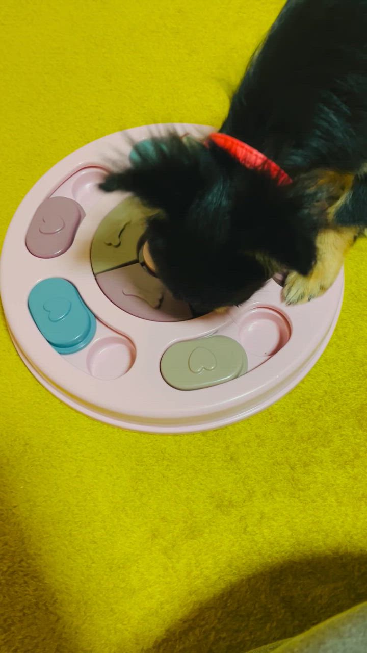 全体のレビュー動画のサムネイル | 0