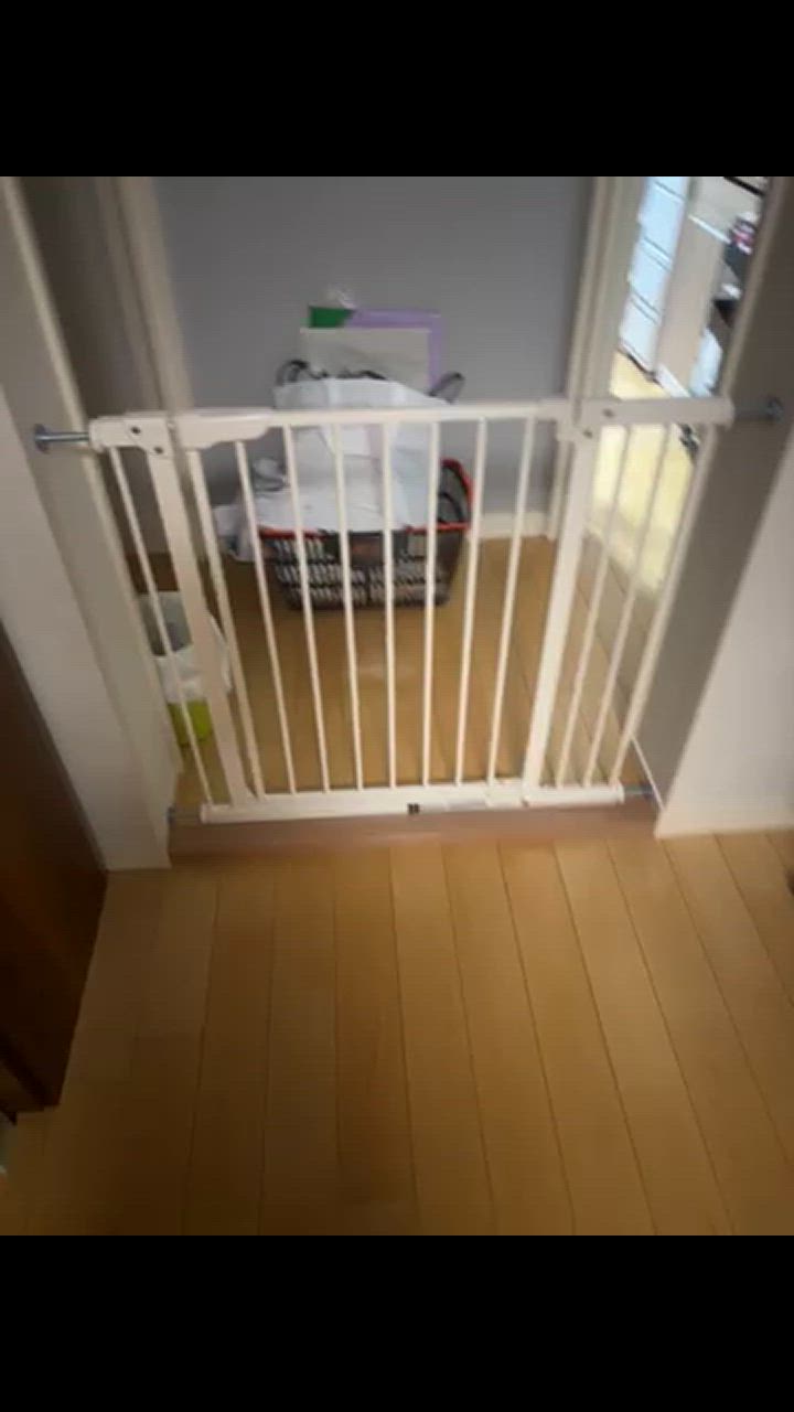 全体のレビュー動画のサムネイル | 1