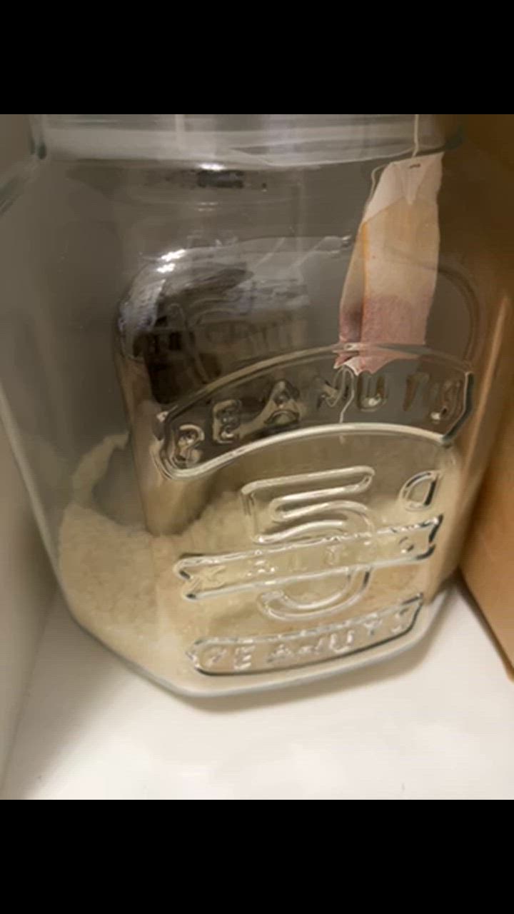 全体のレビュー動画のサムネイル | 7