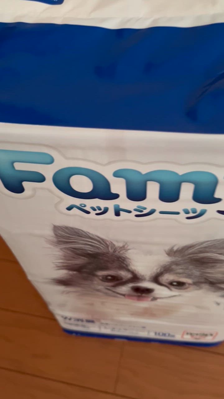 全体のレビュー動画のサムネイル | 5