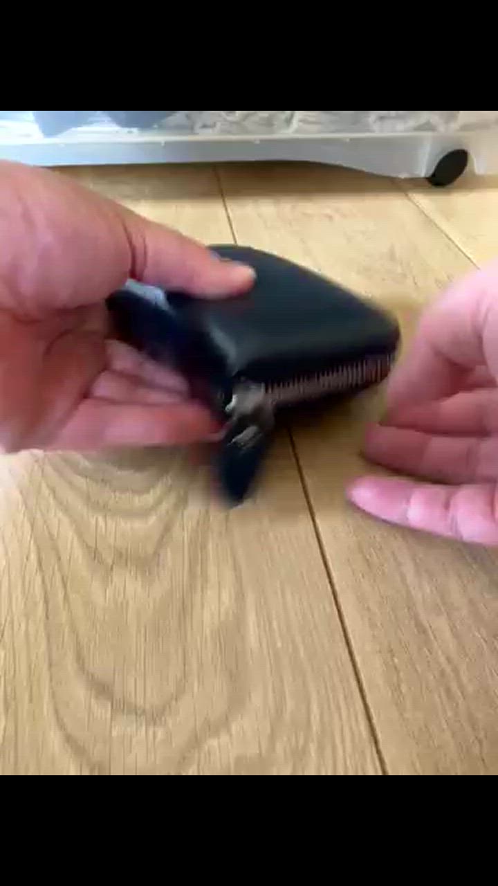 全体のレビュー動画のサムネイル | 0