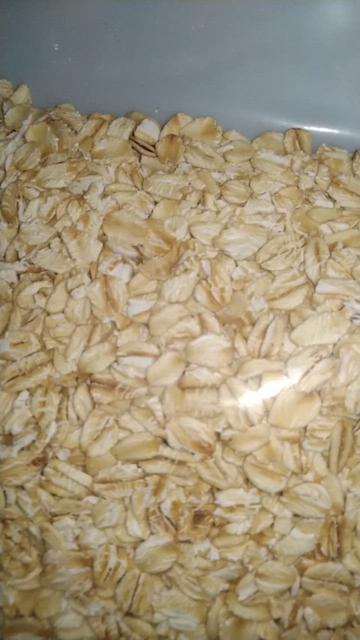 1件目のレビュー動画のサムネイル | 0