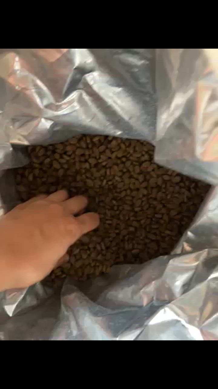 全体のレビュー動画のサムネイル | 4