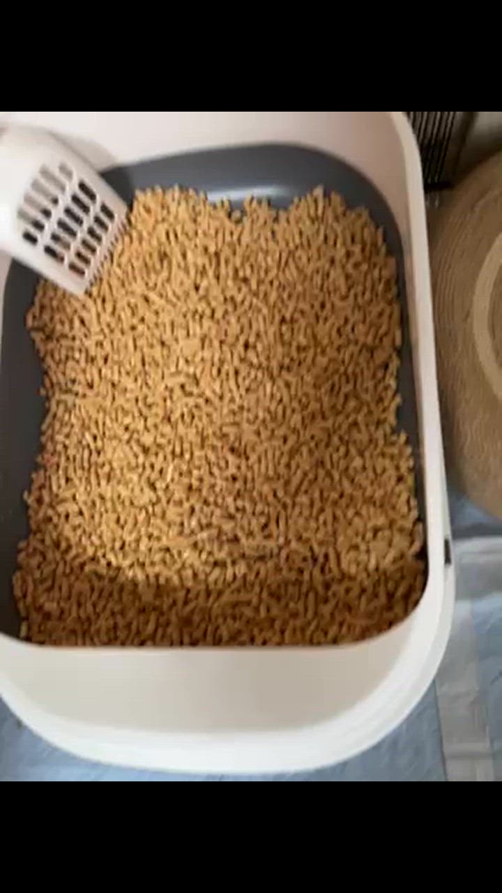 全体のレビュー動画のサムネイル | 5