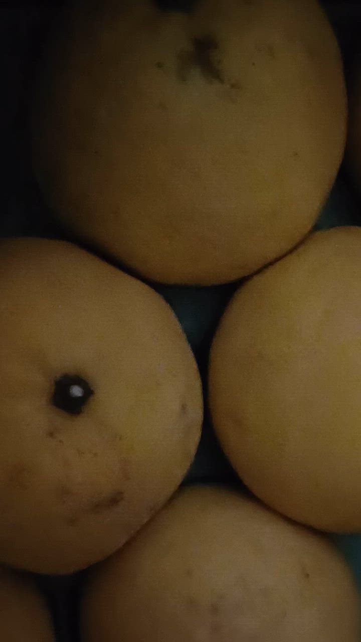 全体のレビュー動画のサムネイル | 0