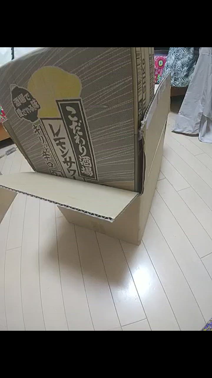 全体のレビュー動画のサムネイル | 1
