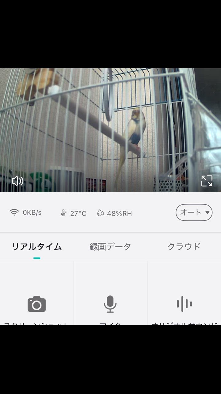 全体のレビュー動画のサムネイル | 1