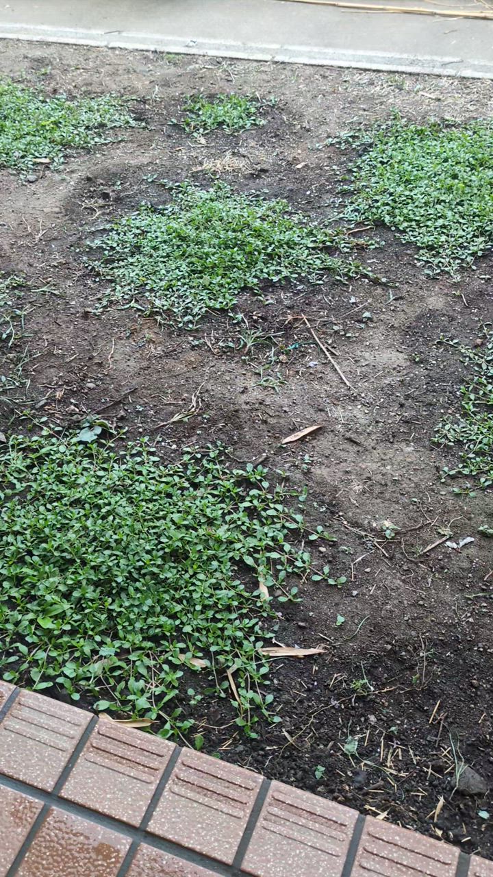 全体のレビュー動画のサムネイル | 0