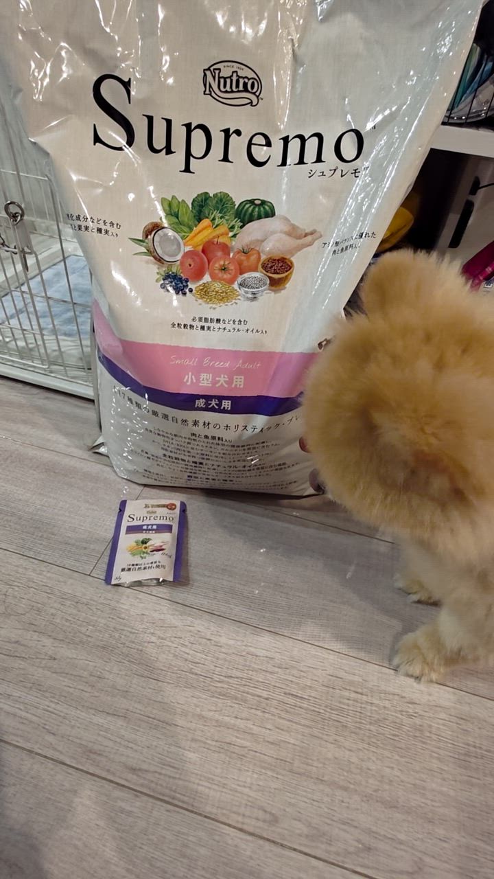 全体のレビュー動画のサムネイル | 3