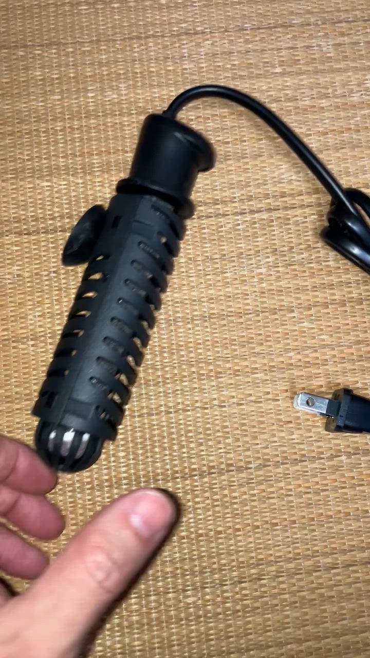 テトラ　4個セット　26℃ ミニヒーター 40ℓ以下 100W Tetra テトラ 26℃ミニヒーター 100W 安全カバー付