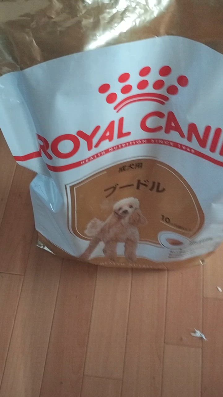 全体のレビュー動画のサムネイル | 0