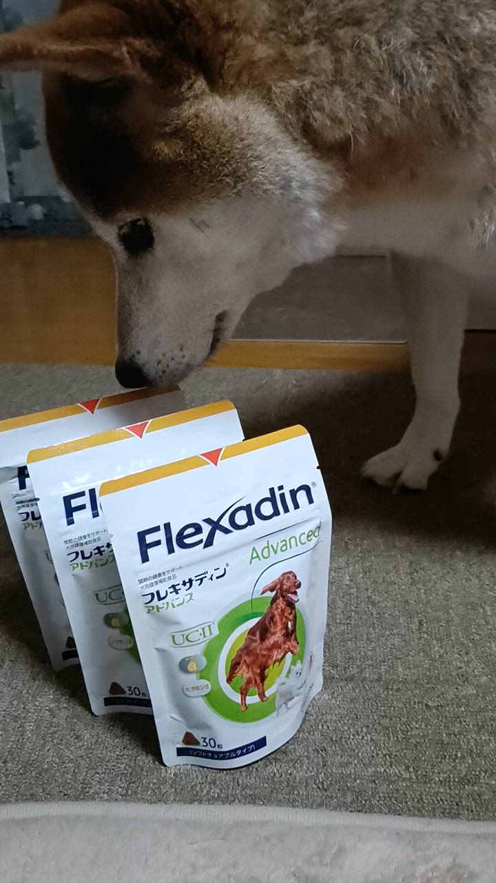 フレキサディンアドバンス 犬用 30粒×3袋【賞味期限:2026.02】 あすつく】【3袋セット】【犬用】【フレキサディン アドバンス