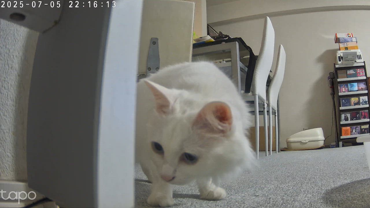 全体のレビュー動画のサムネイル | 0