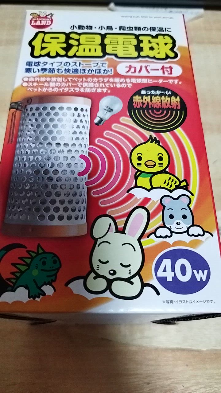マルカン保温電球40Wカバー付き2個 Amazon.co.jp: マルカン 保温電球 40W (カバー付き) : ペット用品