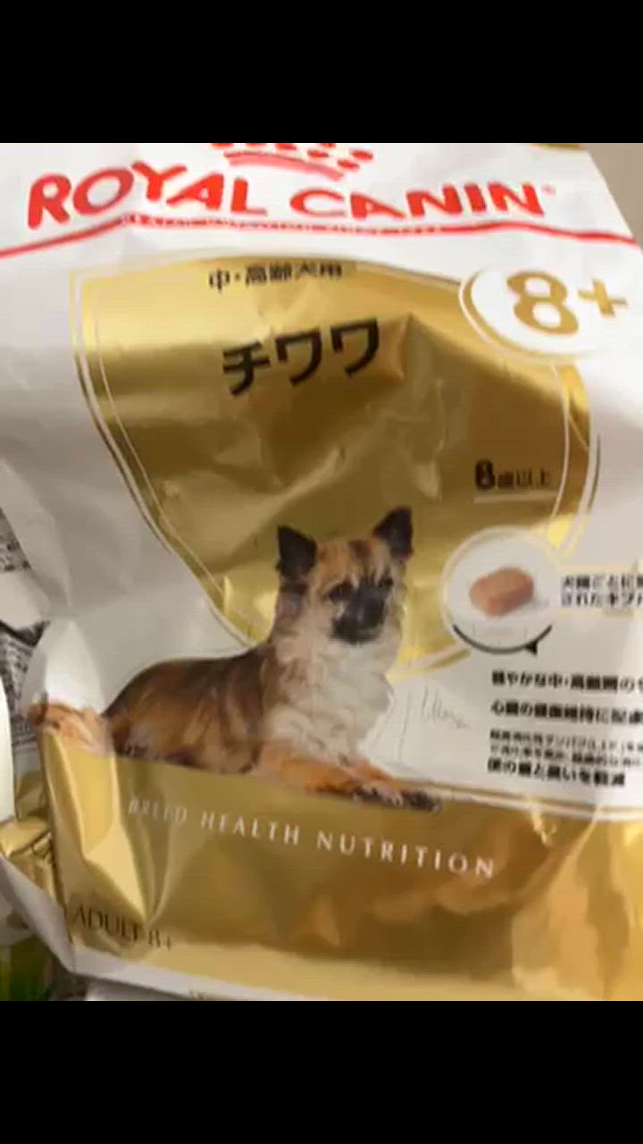 ロイヤルカナン BHN チワワ 中・高齢犬用 8歳以上 3kg (犬