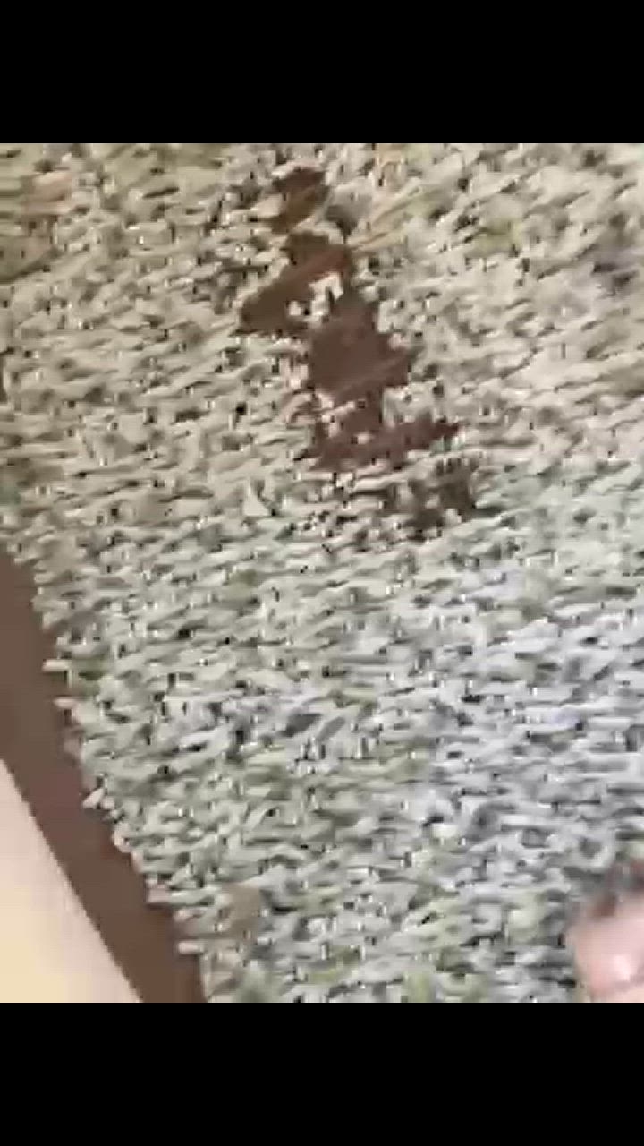 全体のレビュー動画のサムネイル | 5