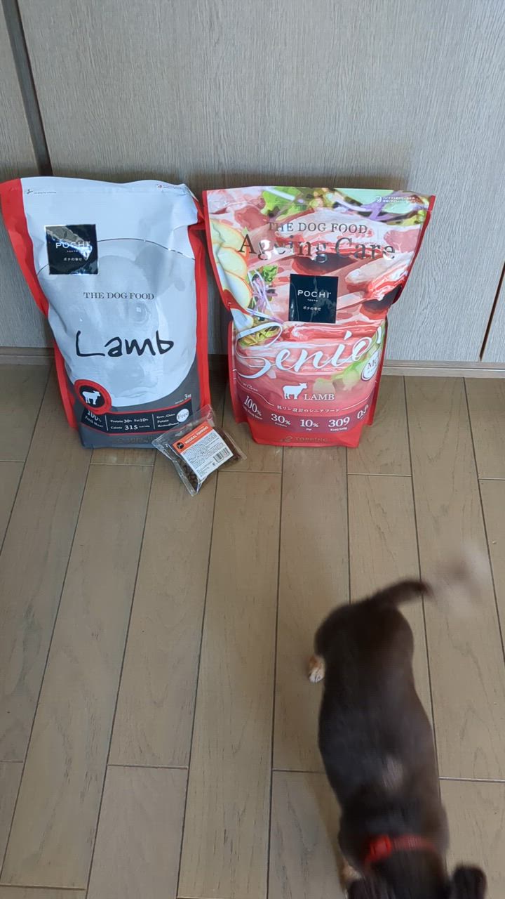 全体のレビュー動画のサムネイル | 1