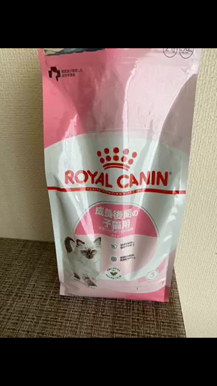  CANIN 子猫用ドライフード 2kg × 2個セット 61BytBQ5dxL._UF894,1000_QL80_.jpg