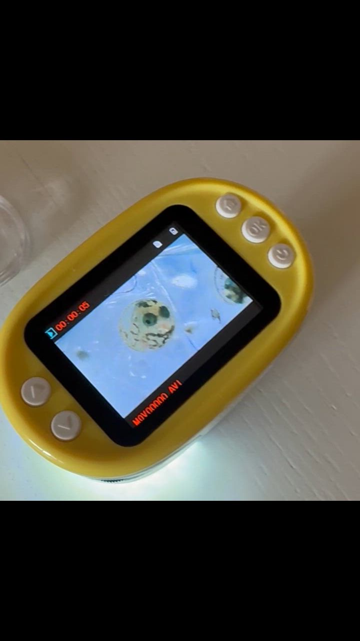 1件目のレビュー動画のサムネイル | 0