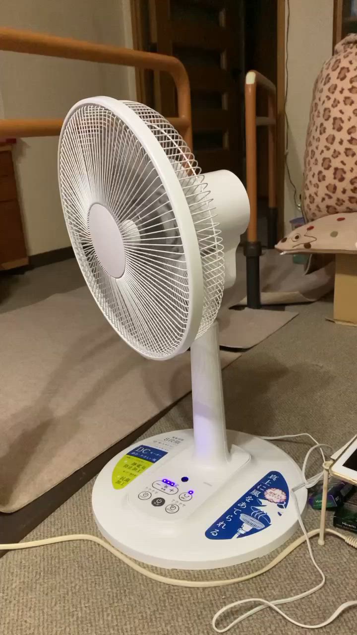 てぃんくる⭐︎クルセイダーズ　電気外祭セット ゼピール DCリビング扇風機 ［DCモーター搭載 /リモコン付き