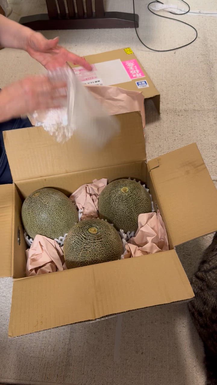 茨城県産 タカミメロン （貴美メロン） 秀品 LA〜2Lサイズ 5〜6