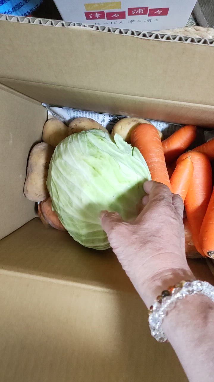 野菜セットB（キャベツ1玉・たまねぎ約1kg・じゃがいも約1kg